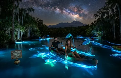 The Glowing Lagoon: Ultimate Guide to Florida Bioluminescent Kayaking