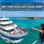 The Ultimate 2026 Guide to Visiting Dry Tortugas National Park via the Yankee Freedom Ferry
